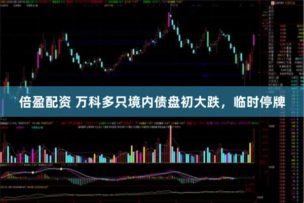 倍盈配资 万科多只境内债盘初大跌，临时停牌
