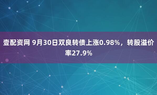 壹配资网 9月30日双良转债上涨0.98%，转股溢价率27.9%
