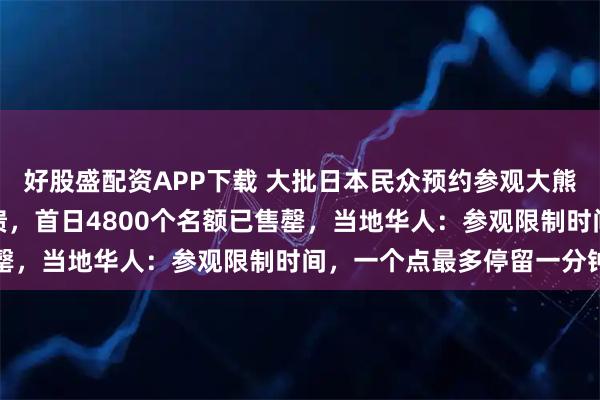 好股盛配资APP下载 大批日本民众预约参观大熊猫，动物园官网一度崩溃，首日4800个名额已售罄，当地华人：参观限制时间，一个点最多停留一分钟