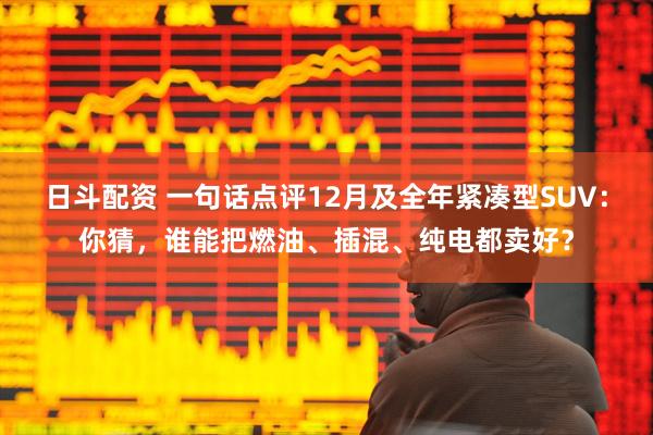 日斗配资 一句话点评12月及全年紧凑型SUV：你猜，谁能把燃油、插混、纯电都卖好？