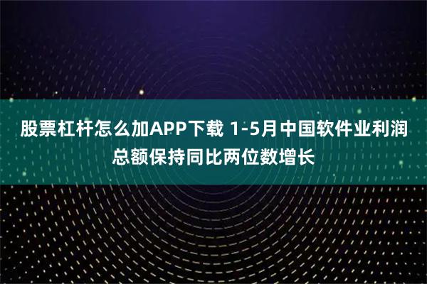 股票杠杆怎么加APP下载 1-5月中国软件业利润总额保持同比两位数增长
