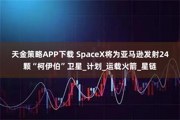 天金策略APP下载 SpaceX将为亚马逊发射24颗“柯伊伯”卫星_计划_运载火箭_星链