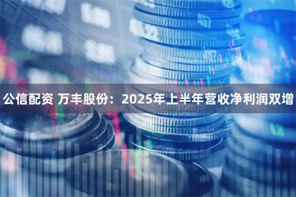 公信配资 万丰股份：2025年上半年营收净利润双增